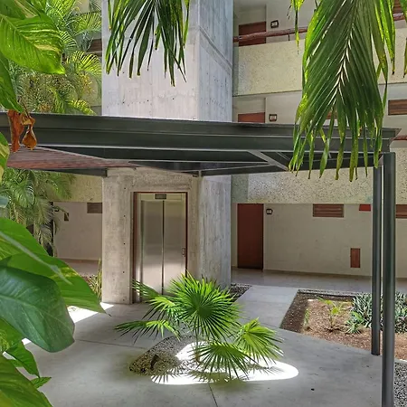Casa Del Mar Cozumel Hotel & Dive Resort With Free Access To An Exclusive Beach Club