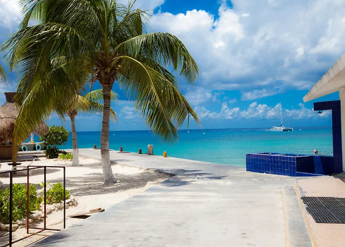 Hotel Casa Del Mar & Dive With Free Access To An Exclusive Club